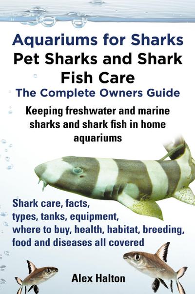 Aquariums for Sharks. Keeping Aquarium Sharks and Shark Fish. Shark Care, Tanks, Species, Health, Food, Equipment, Breeding, Freshwater and Marine All