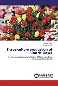 Tissue culture production of ’Dutch’ R