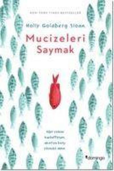 Mucizeleri Saymak