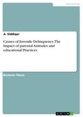 Causes of Juvenile Delinquency. The Impact of parental Attitudes and educational Practices