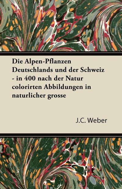 Weber, J: Alpen-Pflanzen Deutschlands Und Der Schweiz - In 4