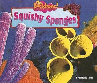 Squishy Sponges