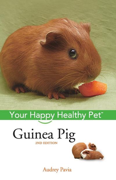 Guinea Pig
