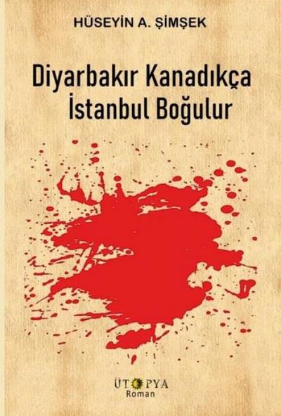 Diyarbakir Kanadikca Istanbul Bogulur