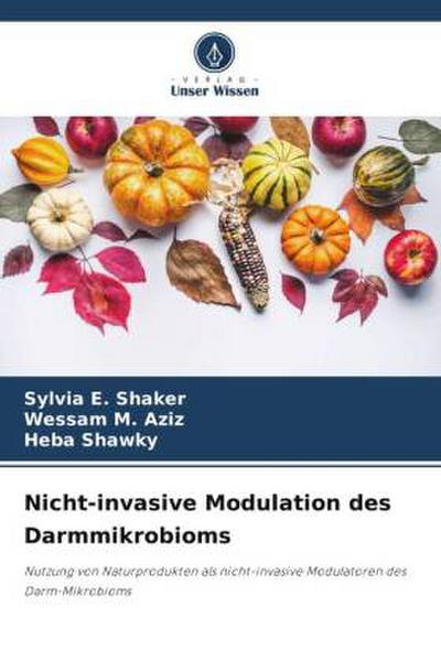 Nicht-invasive Modulation des Darmmikrobioms