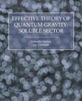 Effective Theory of Quantum Gravity