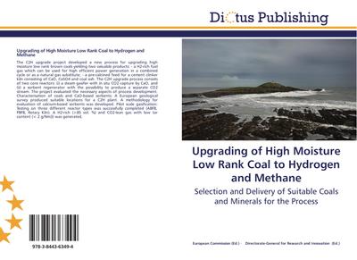 Upgrading of High Moisture Low Rank Coal to Hydrogen and Methane
