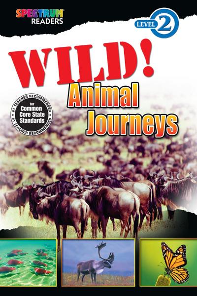Wild! Animal Journeys
