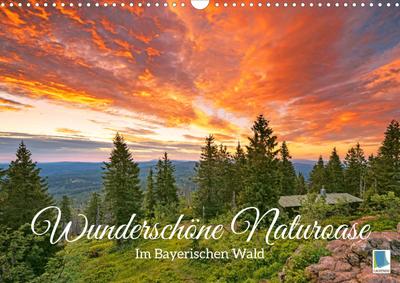 Wunderschöne Naturoase: Im Bayerischen Wald (Wandkalender 2023 DIN A3 quer)