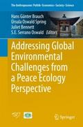 Addressing Global Environmental Challenges from a 