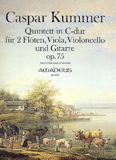 Quintett C-Dur op.75 für 2 Flöten, Viola,Violoncello und Gitarre