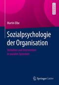Sozialpsychologie der Organisation