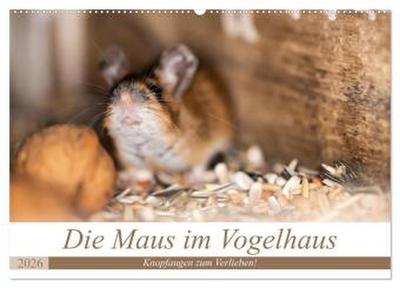 Die Maus im Vogelhaus (Wandkalender 2026 DIN A2 quer), CALVENDO Monatskalender