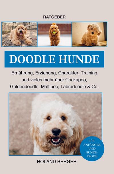Doodle Hunde Cockapoo, Goldendoodle, Maltipoo, Labradoodle & Co.