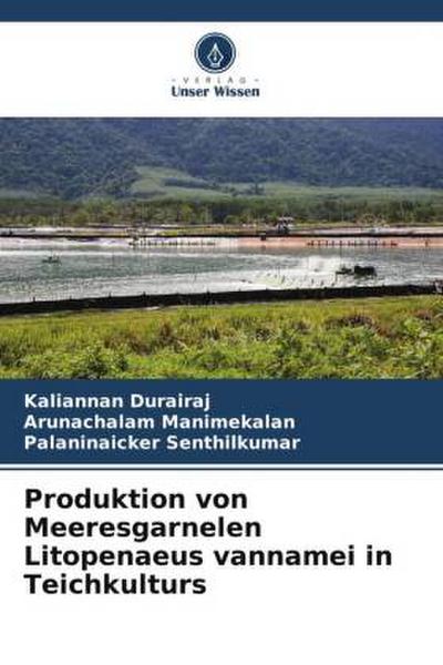 Produktion von Meeresgarnelen Litopenaeus vannamei in Teichkulturs