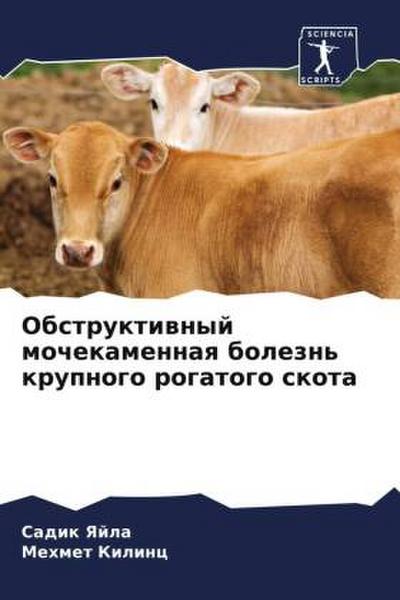 Obstruktiwnyj mochekamennaq bolezn’ krupnogo rogatogo skota