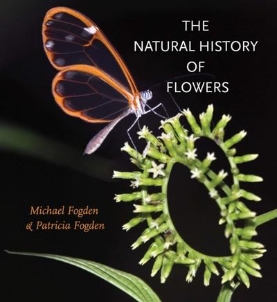 Natural History of Flowers