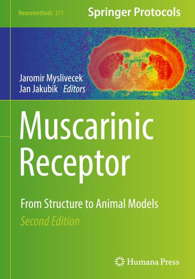 Muscarinic Receptor