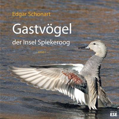 Gastvögel der Insel Spiekeroog 01