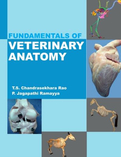 Fundamentals of Veterinary Anatomy