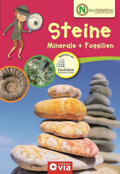 Steine, Minerale + Fossilien