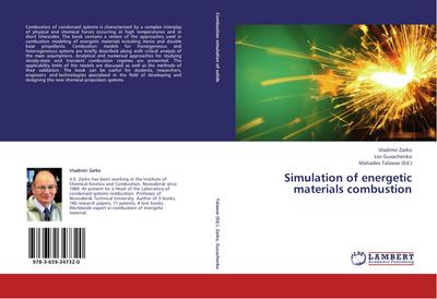 Simulation of energetic materials combustion