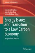 Energy Issues and Transition to a Low Carbon Econo