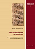 Sprachwandelprozesse im Ägyptischen