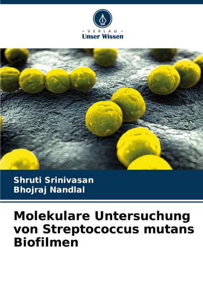 Molekulare Untersuchung von Streptococcus mutans Biofilmen