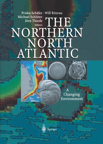 The Northern North Atlantic