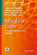 Natural Gas Engines