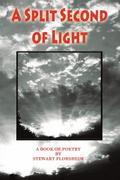 A SPLIT SECOND OF LIGHT