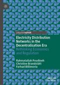 Electricity Distribution Networks in the Decentral