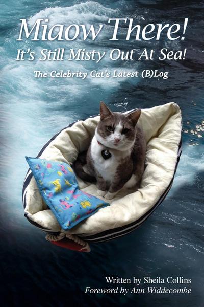 Miaow There! It’s Still Misty Out At Sea!
