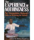 The Experience of Nothingness