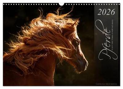 Pferde - Anmut und Stärke gepaart mit Magie (Wandkalender 2026 DIN A3 quer), CALVENDO Monatskalender