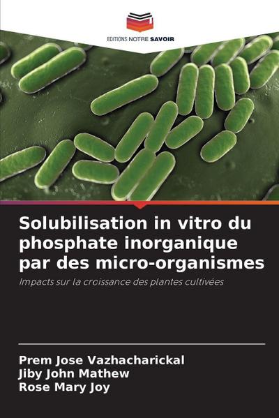 Solubilisation in vitro du phosphate inorganique par des micro-organismes