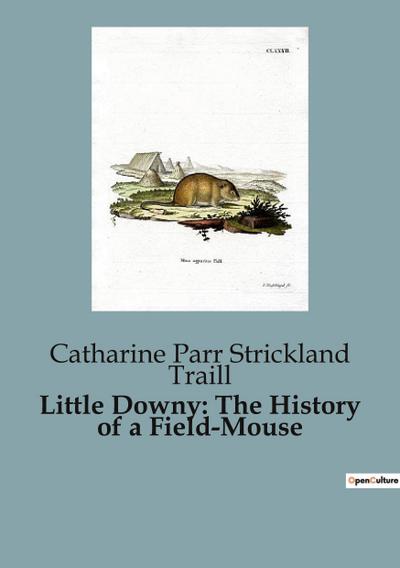 Little Downy: The History of a Field-Mouse