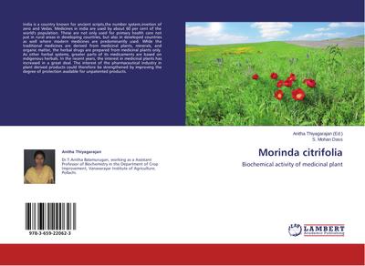Morinda citrifolia