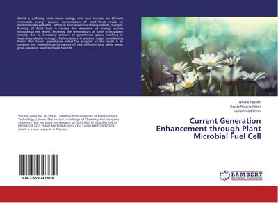 Current Generation Enhancement through Plant Microbial Fuel Cell