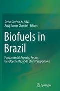 Biofuels in Brazil