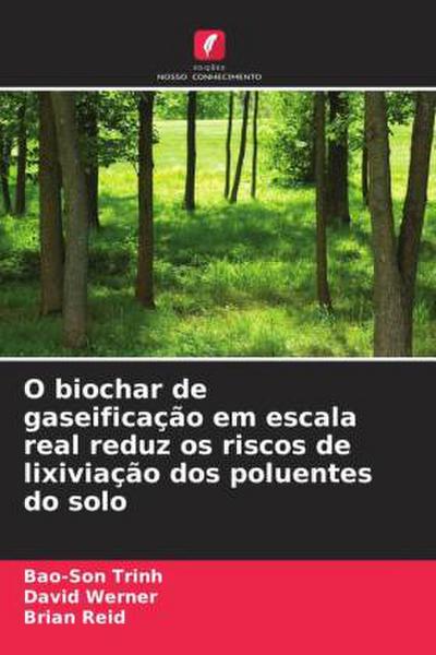 O biochar de gaseificação em escala real reduz os riscos de lixiviação dos poluentes do solo