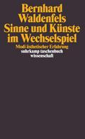 Sinne und Künste im Wechselspiel