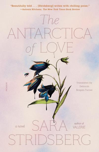 Antarctica of Love