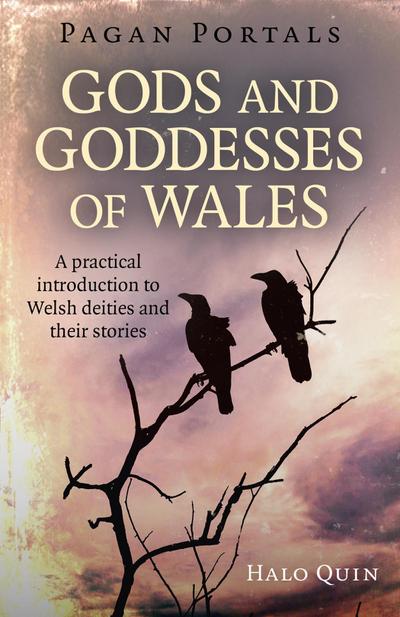 Quin, H: Pagan Portals - Gods and Goddesses of Wales