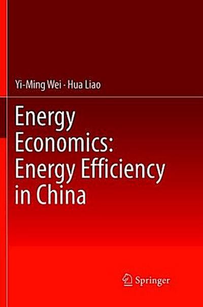 Energy Economics: Energy Efficiency in China