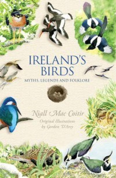 Ireland’s Birds