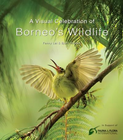 Visual Celebration of Borneo’s Wildlife