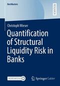 Quantification of Structural Liquidity Risk in Ban