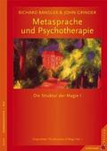 Metasprache und Psychotherapie